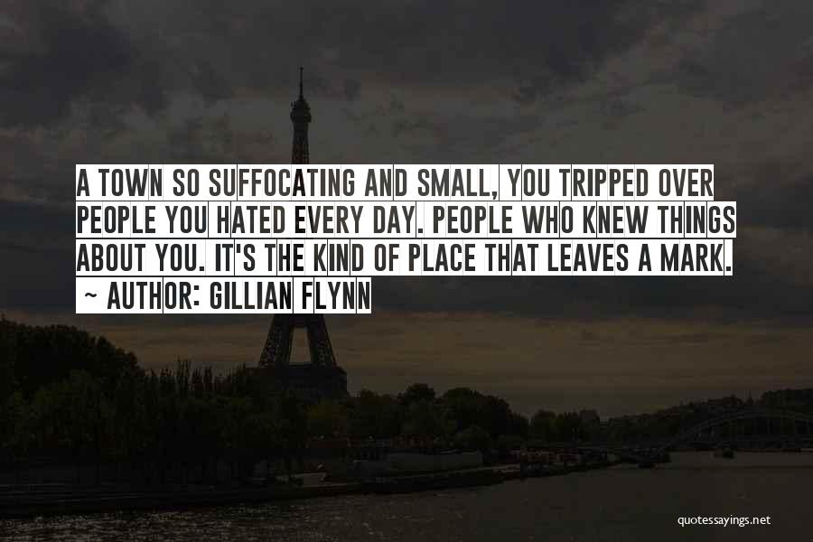 A Small Place Quotes By Gillian Flynn