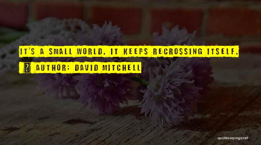 A Small World Quotes By David Mitchell