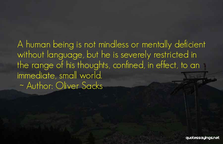 A Small World Quotes By Oliver Sacks