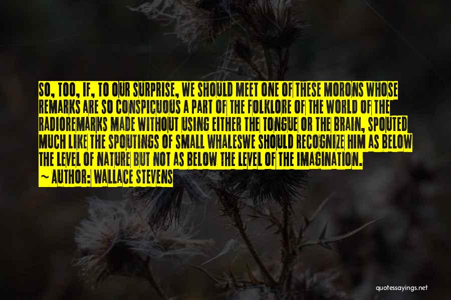 A Small World Quotes By Wallace Stevens