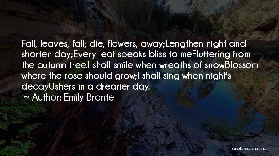 A Smile A Day Quotes By Emily Bronte