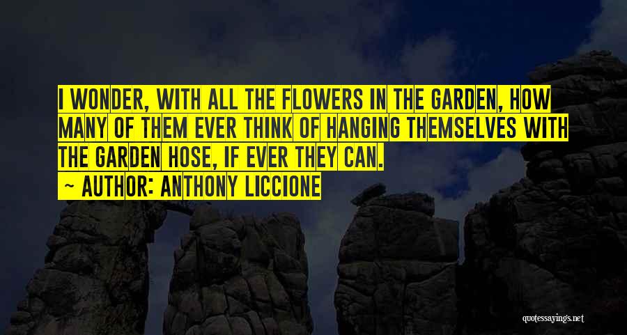 A Smile Can Hide Quotes By Anthony Liccione