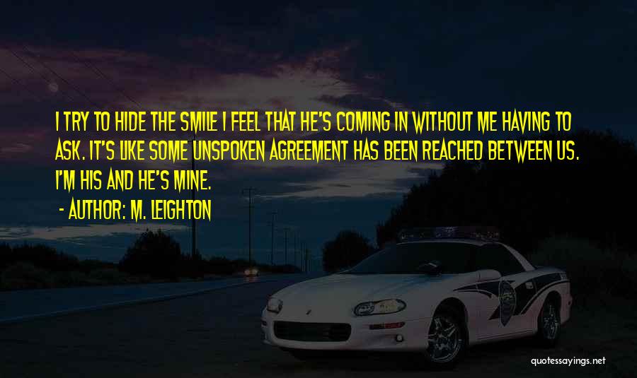 A Smile Can Hide Quotes By M. Leighton