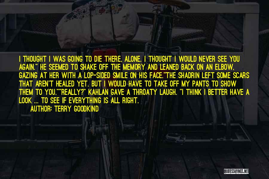 A Smile On My Face Quotes By Terry Goodkind