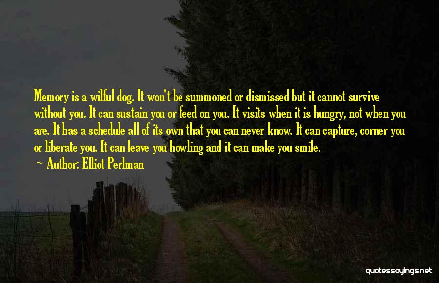 A Smile That Can Quotes By Elliot Perlman