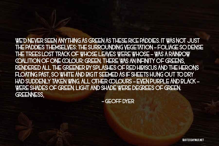 A Snake Quotes By Geoff Dyer A Snake Quotes By Geoff Dyer