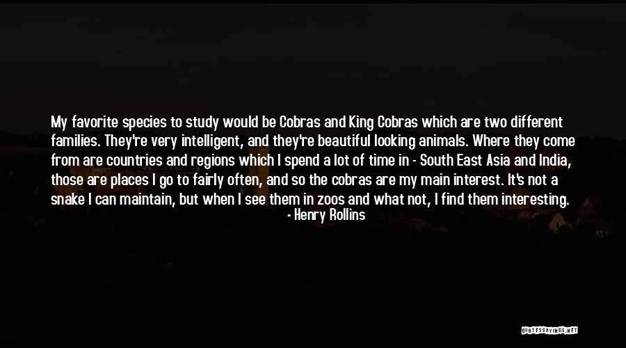 A Snake Quotes By Henry Rollins A Snake Quotes By Henry Rollins