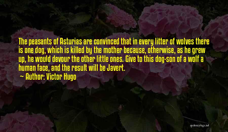 A Son And Mother Quotes By Victor Hugo