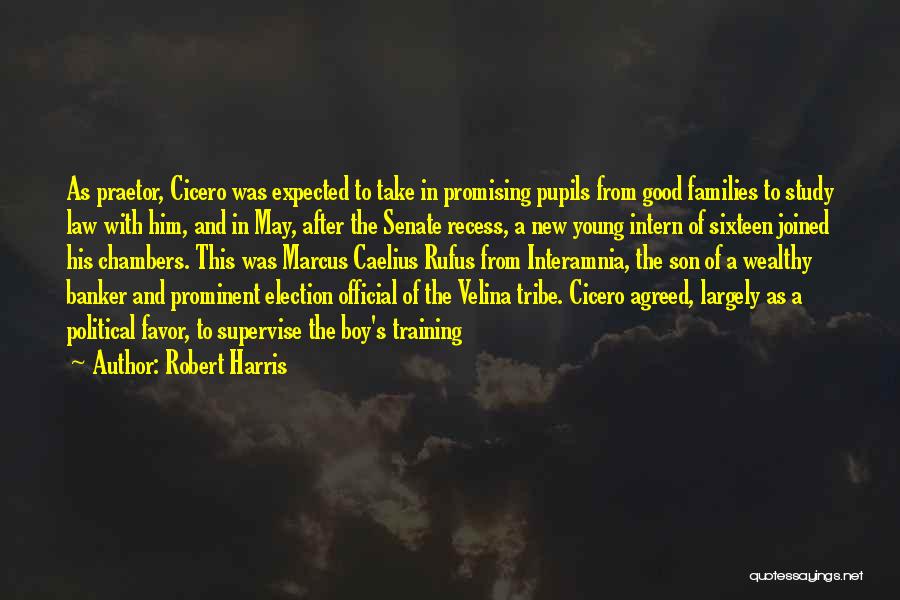 A Son In Law Quotes By Robert Harris