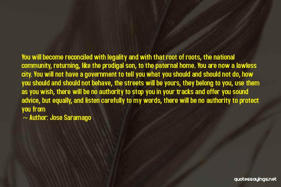 A Son Returning Home Quotes By Jose Saramago