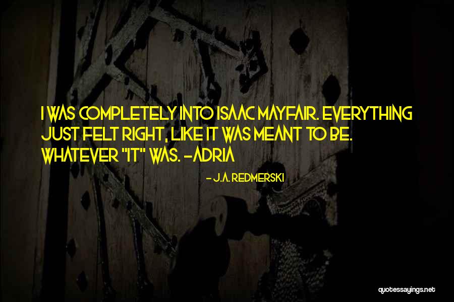 A Soulmate Quotes By J.A. Redmerski A Soulmate Quotes By J.A. Redmerski