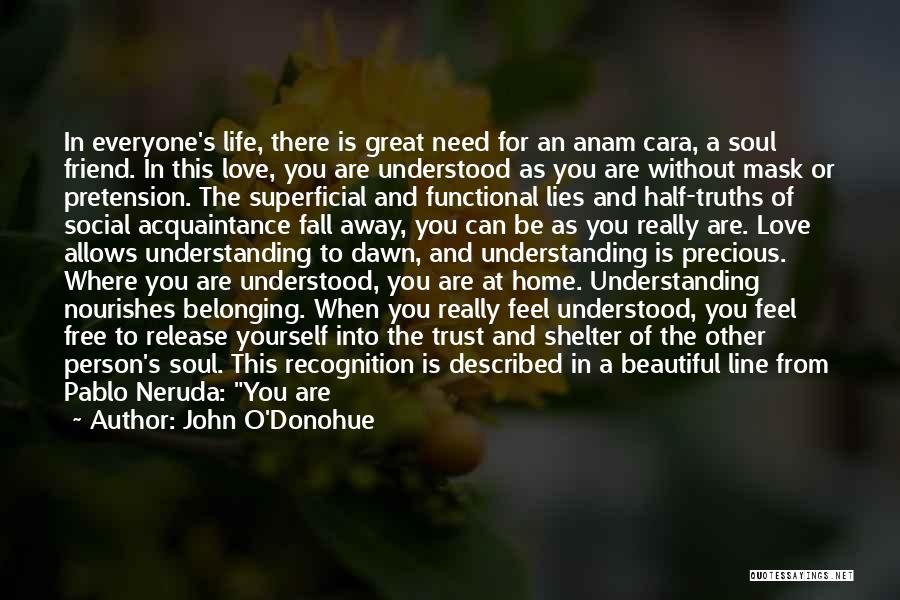 A Special Friend Quotes By John O'Donohue