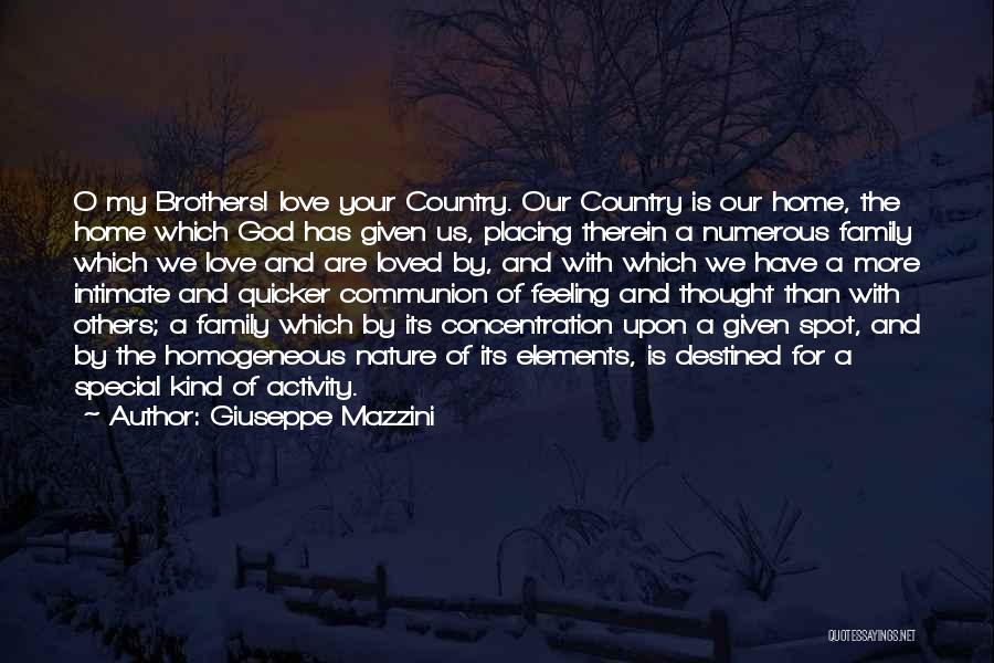 A Special Kind Of Love Quotes By Giuseppe Mazzini