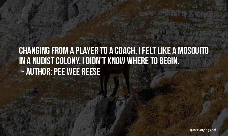 A Sports Coach Quotes By Pee Wee Reese