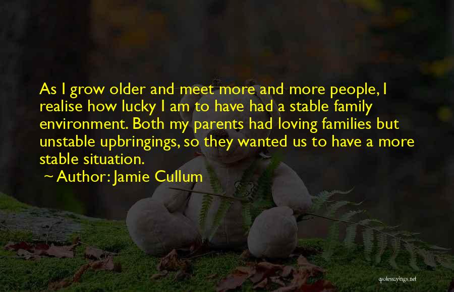 A Stable Family Quotes By Jamie Cullum