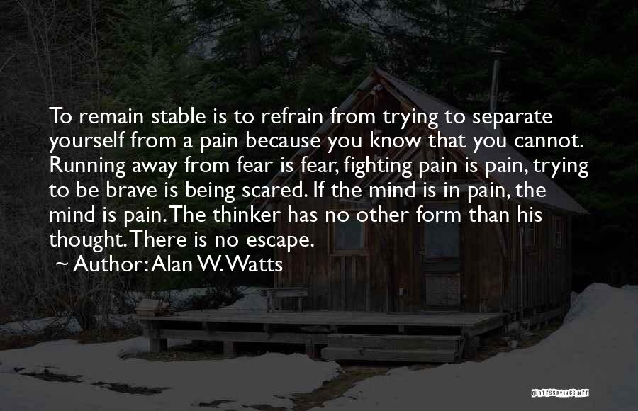 A Stable Mind Quotes By Alan W. Watts