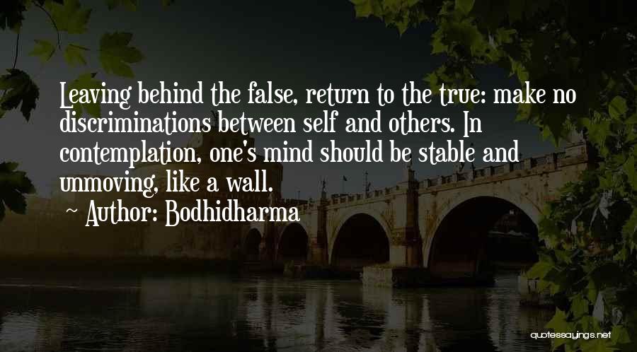 A Stable Mind Quotes By Bodhidharma