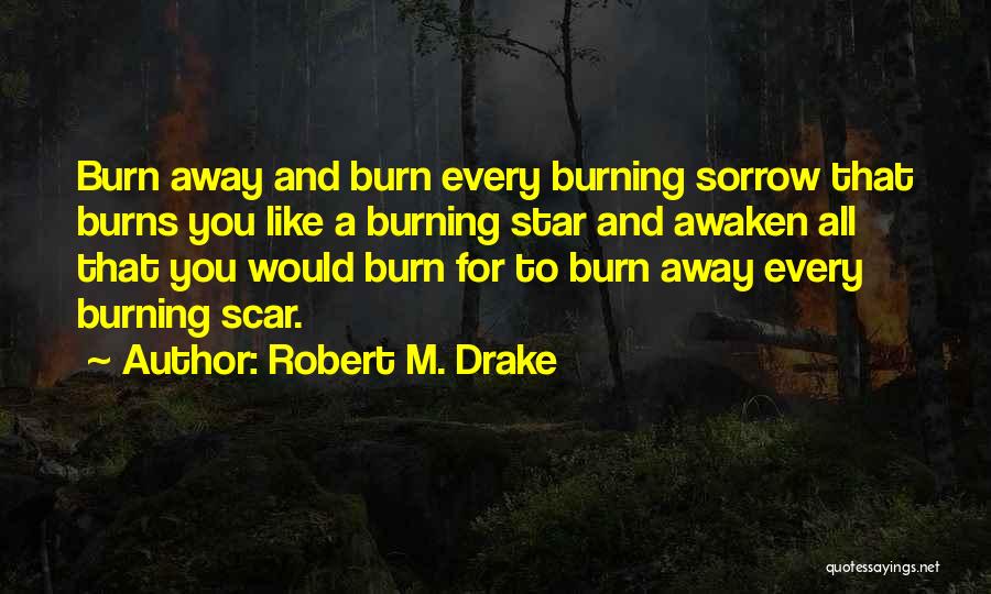 A Star Is Burns Quotes By Robert M. Drake