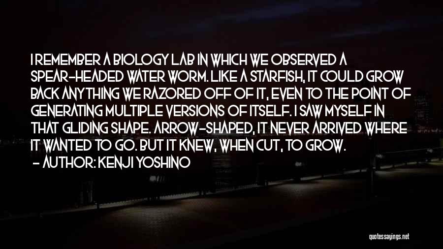 A Starfish Quotes By Kenji Yoshino