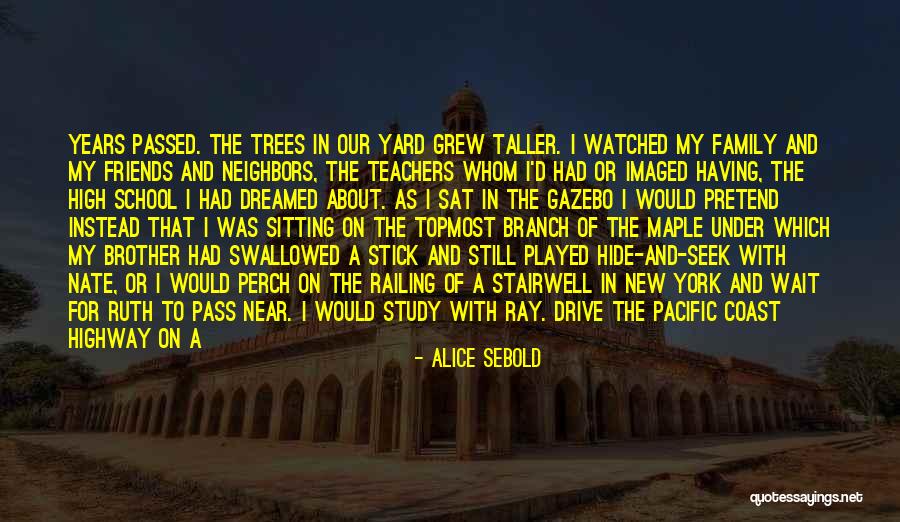 A Stick Quotes By Alice Sebold A Stick Quotes By Alice Sebold