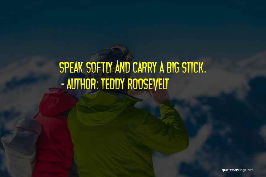 A Stick Quotes By Teddy Roosevelt