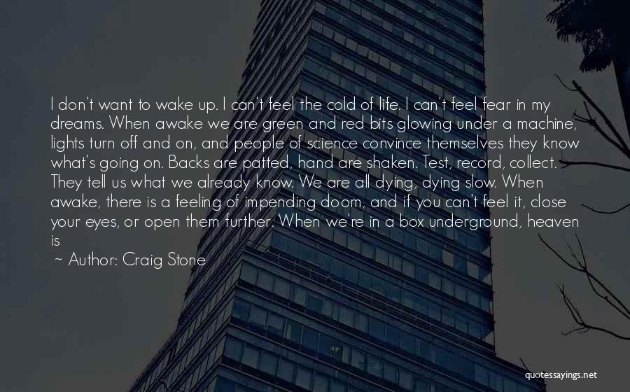 A Stone In My Hand Quotes By Craig Stone