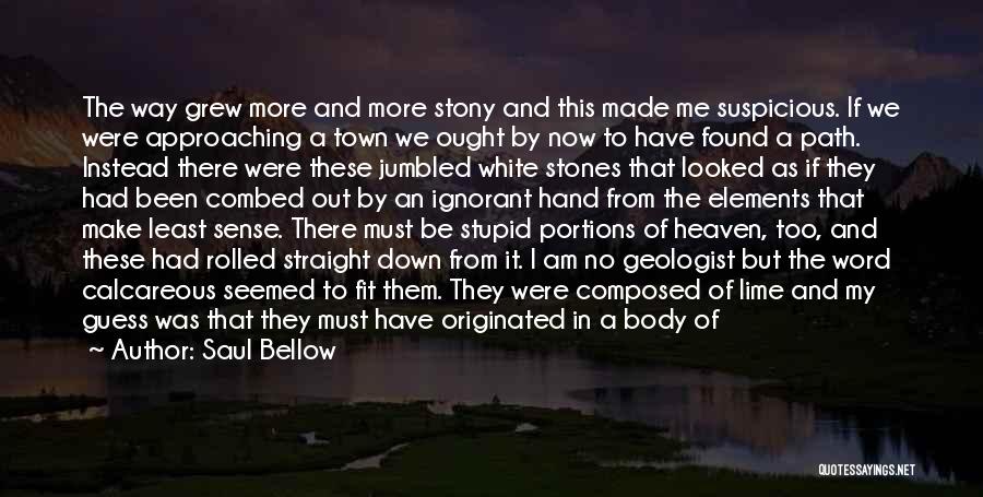 A Stone In My Hand Quotes By Saul Bellow
