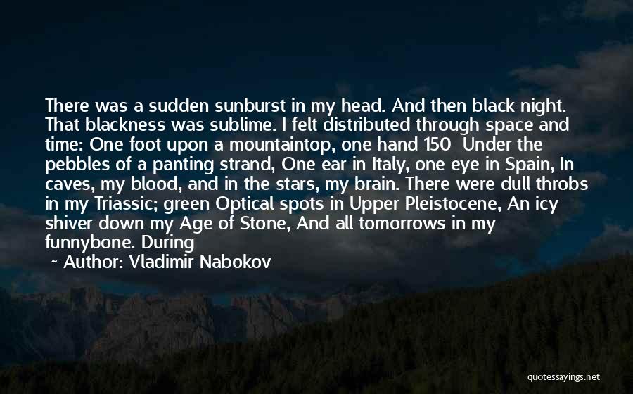 A Stone In My Hand Quotes By Vladimir Nabokov