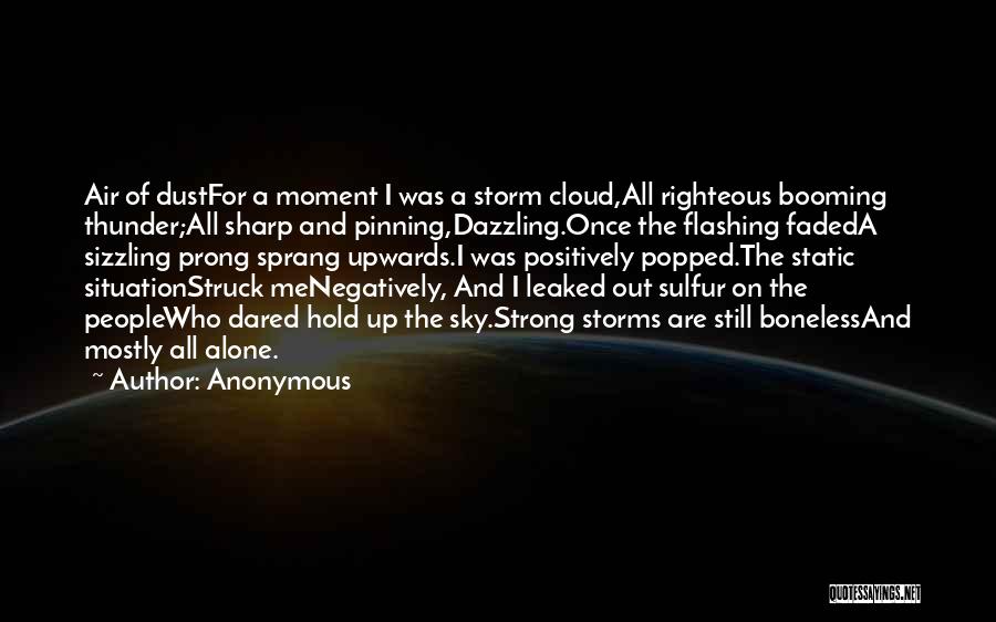 A Storm Quotes By Anonymous