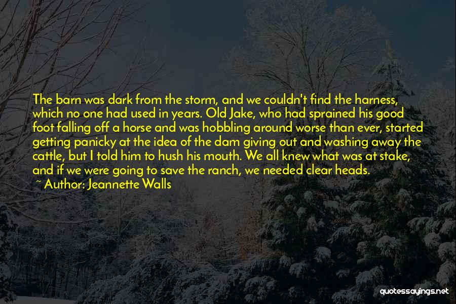 A Storm Quotes By Jeannette Walls