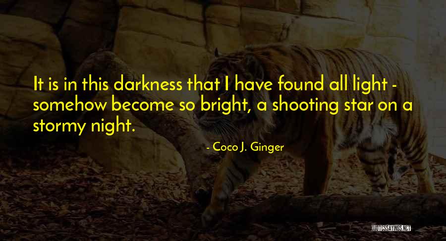 A Stormy Night Quotes By Coco J. Ginger