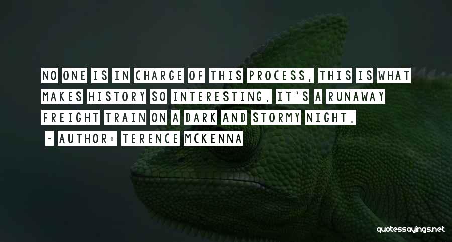 A Stormy Night Quotes By Terence McKenna