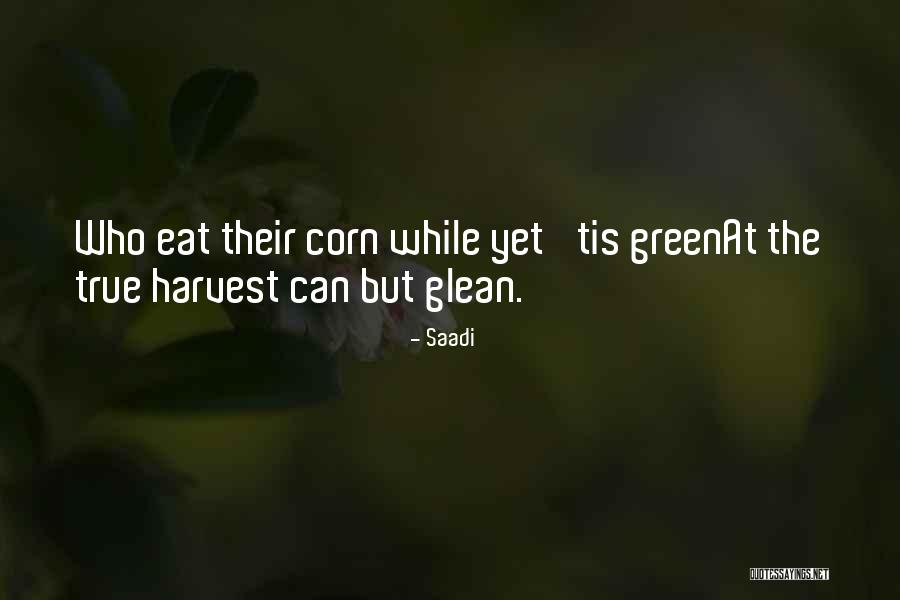 A Story About Skydiving Quotes By Saadi A Story About Skydiving Quotes By Saadi