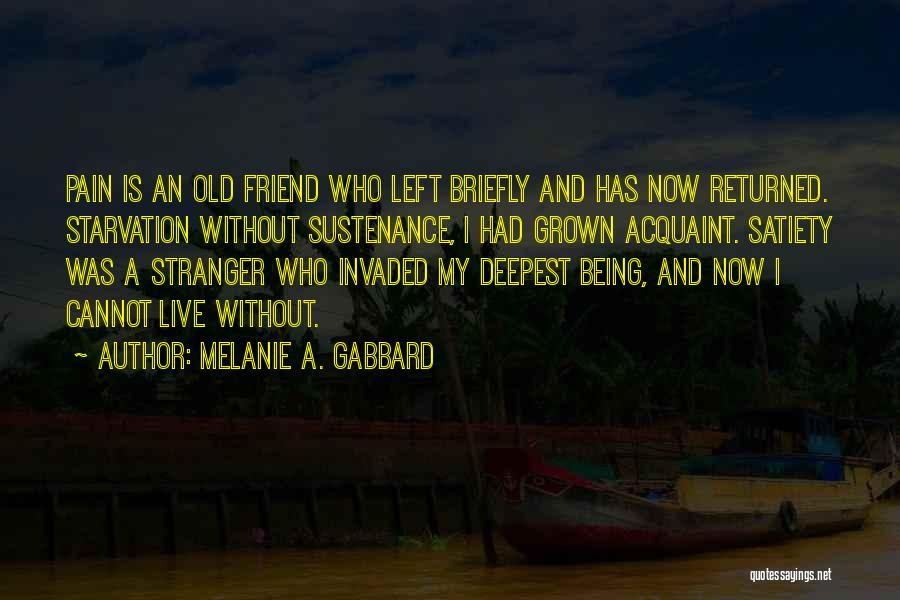 A Stranger Friend Quotes By Melanie A. Gabbard