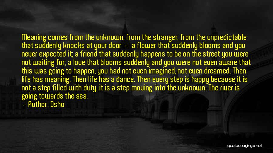 A Stranger Friend Quotes By Osho