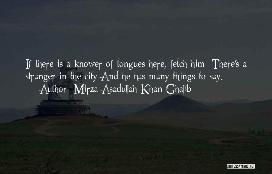 A Stranger Quotes By Mirza Asadullah Khan Ghalib