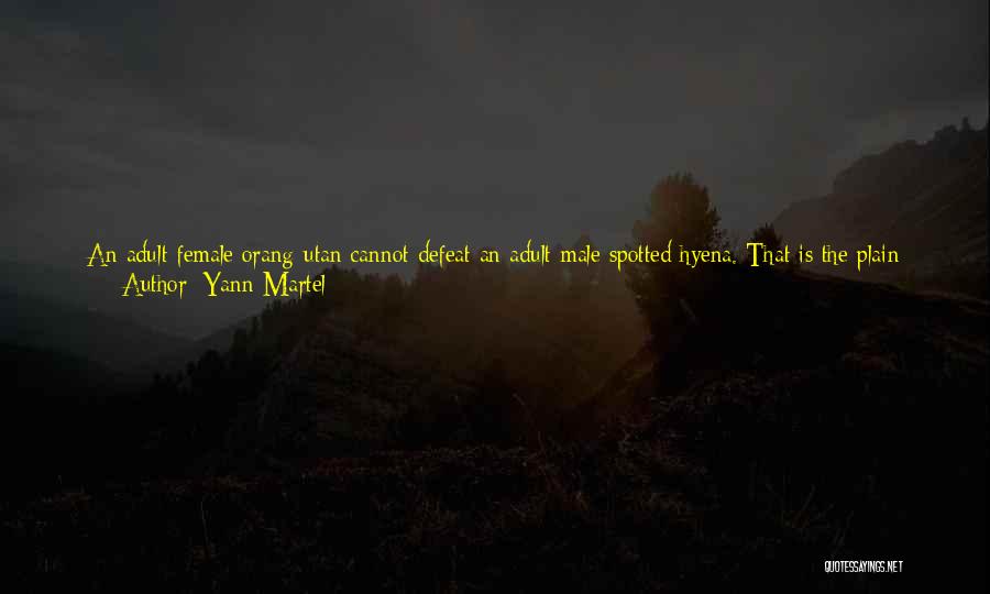 A Strong Heart Quotes By Yann Martel