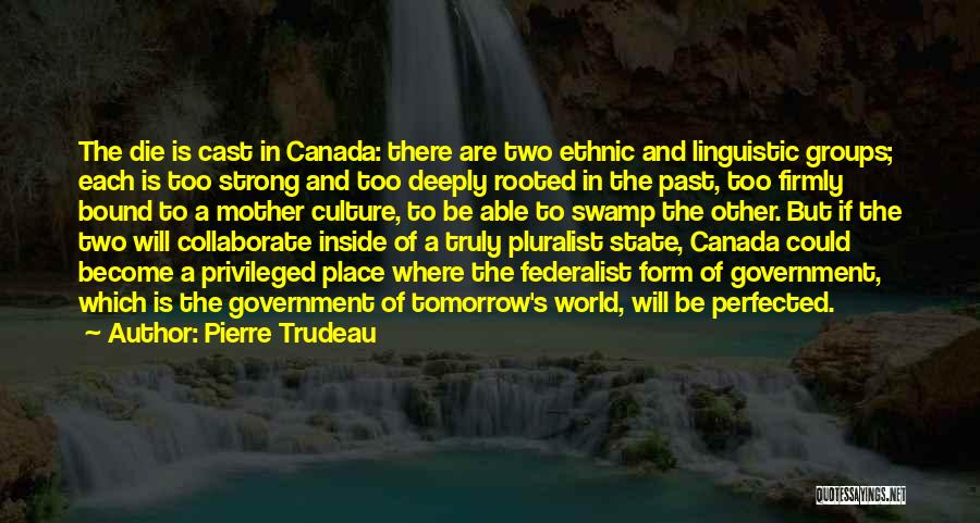 A Strong Will Quotes By Pierre Trudeau