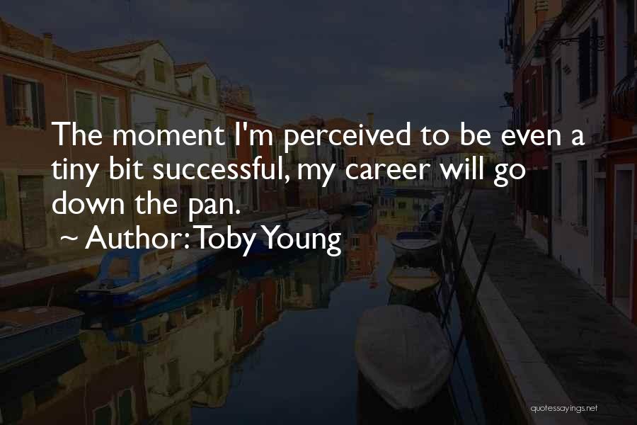 A Successful Career Quotes By Toby Young