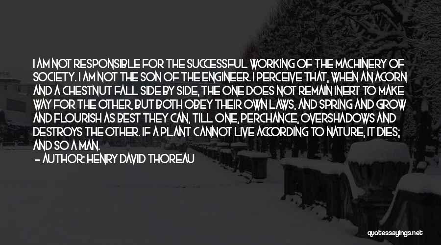 A Successful Man Quotes By Henry David Thoreau