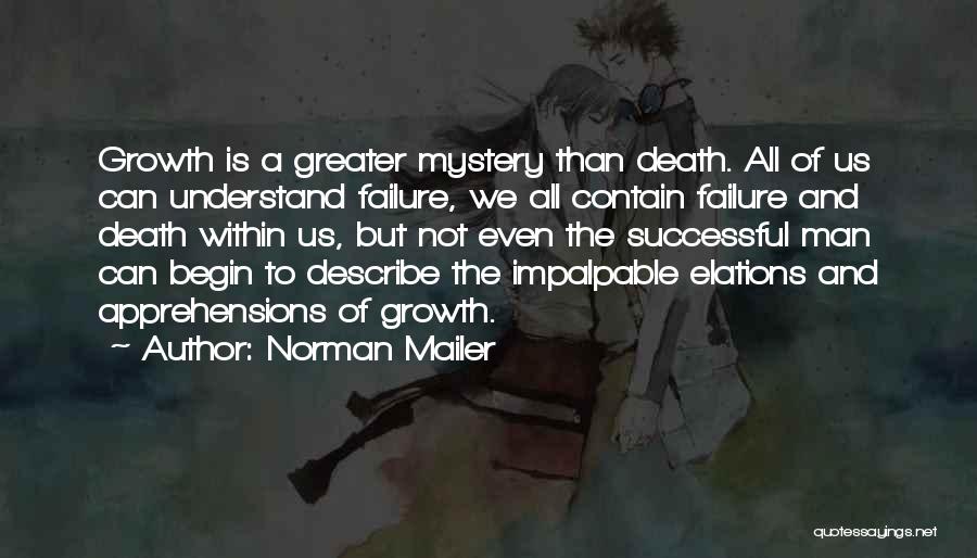 A Successful Man Quotes By Norman Mailer