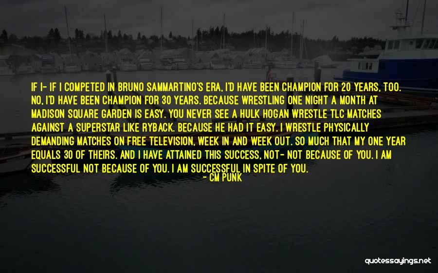 A Successful Year Quotes By CM Punk