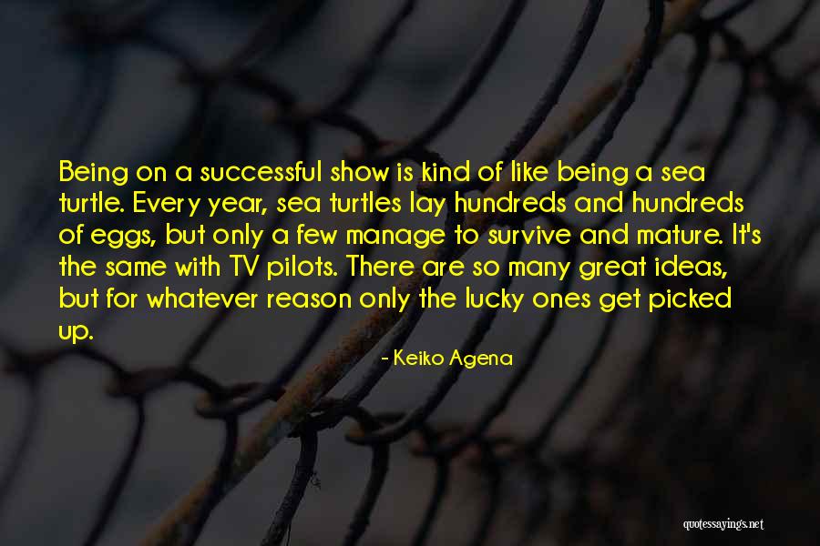 A Successful Year Quotes By Keiko Agena