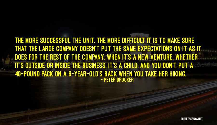 A Successful Year Quotes By Peter Drucker