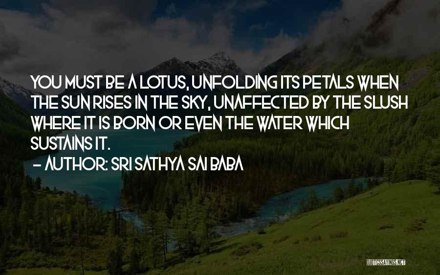 A Sun Also Rises Quotes By Sri Sathya Sai Baba