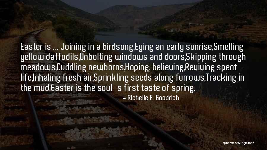 A Sunrise Quotes By Richelle E. Goodrich A Sunrise Quotes By Richelle E. Goodrich