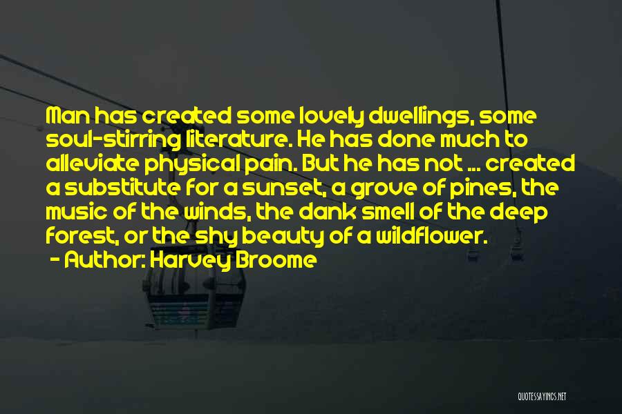 A Sunset Quotes By Harvey Broome