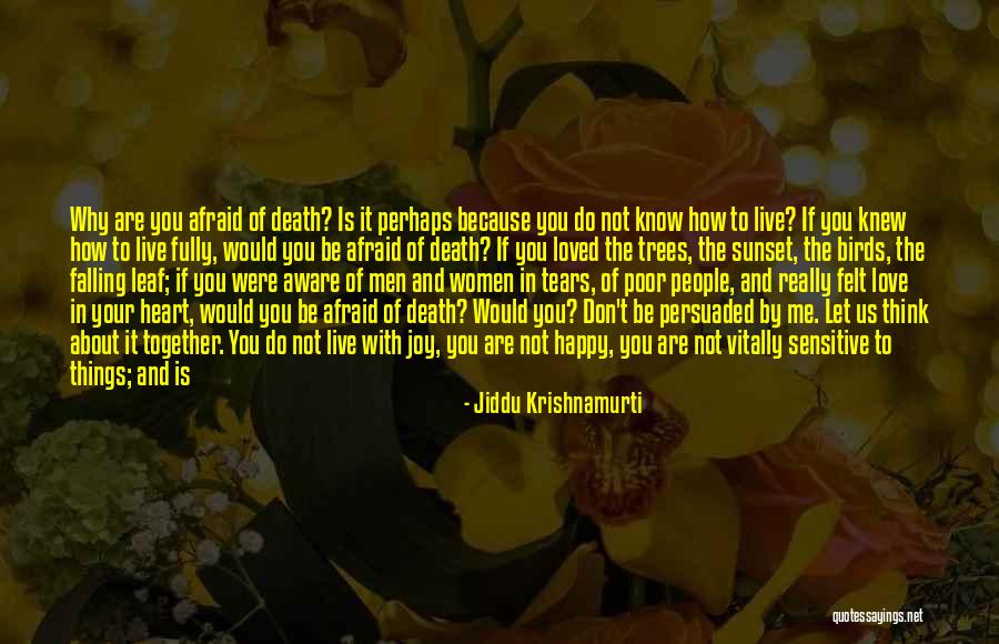 A Sunset Quotes By Jiddu Krishnamurti