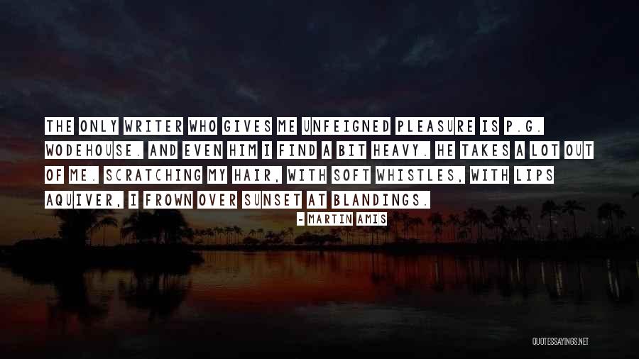A Sunset Quotes By Martin Amis A Sunset Quotes By Martin Amis
