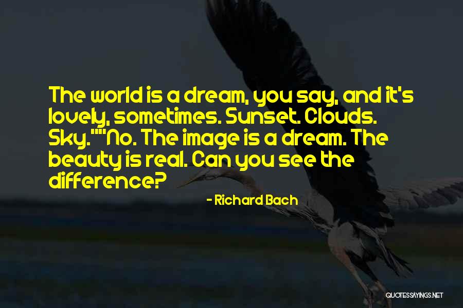 A Sunset Quotes By Richard Bach